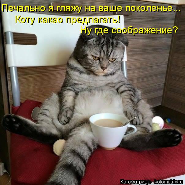 Печально я гляжу на ваше поколенье... Коту какао предлагать! Ну где соображение?... Котоматрица: Печально я гляжу на ваше поколенье... Коту какао предлагать! Ну где соображение?