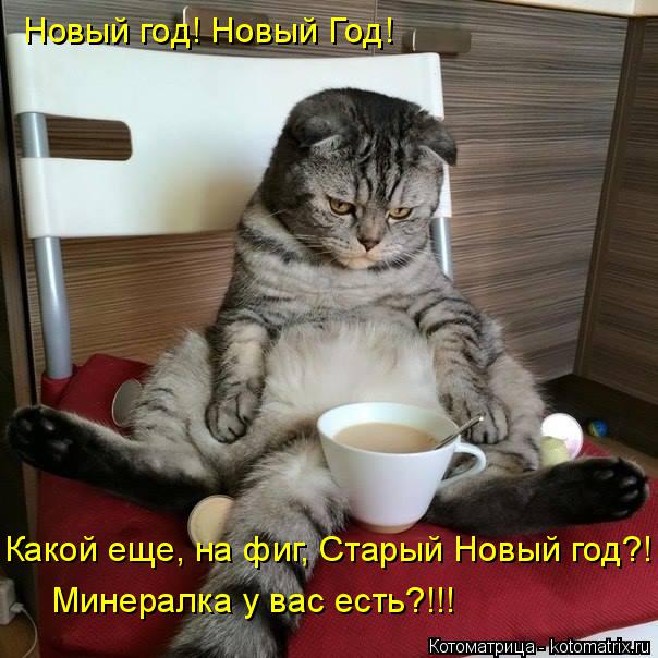 Котоматрица: Новый год! Новый Год! Какой еще, на фиг, Старый Новый год?! Минералка у вас есть?!!!