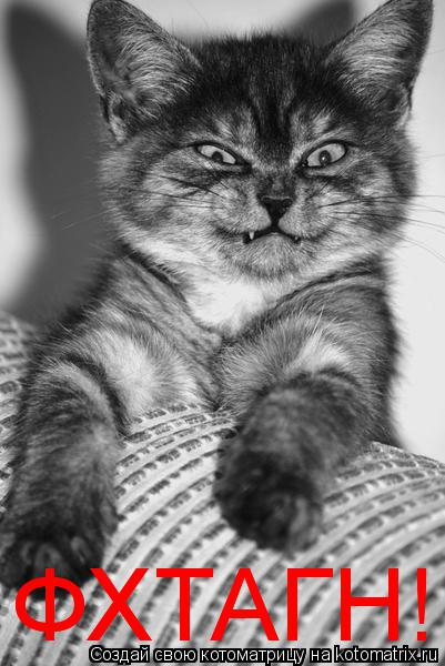 Котоматрица: ФХТАГН! ФХТАГН!