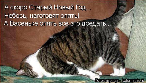 А скоро Старый Новый Год... Небось, наготовят опять! А Васеньке опять все это доедать...... Котоматрица: А скоро Старый Новый Год... Небось, наготовят опять! А Васеньке опять все это доедать...