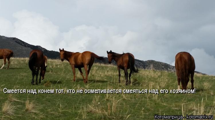 Котоматрица: Смеется над конем тот, кто не осмеливается смеяться над его хозяином!