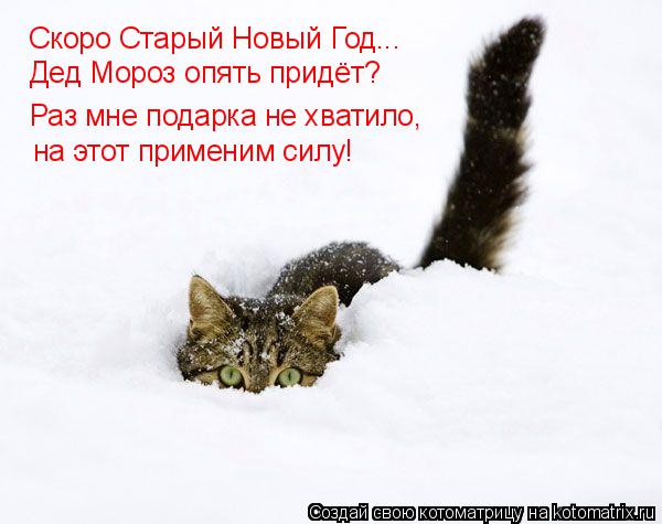 Скоро Старый Новый Год... Дед Мороз опять придёт? Раз мне подарка не хватило, на этот применим силу!... Котоматрица: Скоро Старый Новый Год... Дед Мороз опять придёт? Раз мне подарка не хватило, на этот применим силу!