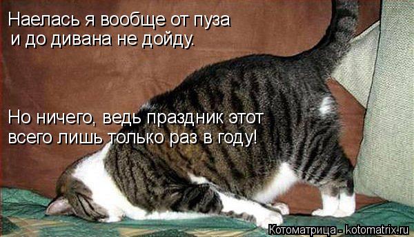Котоматрица: Наелась я вообще от пуза  и до дивана не дойду. Но ничего, ведь праздник этот  всего лишь только раз в году!