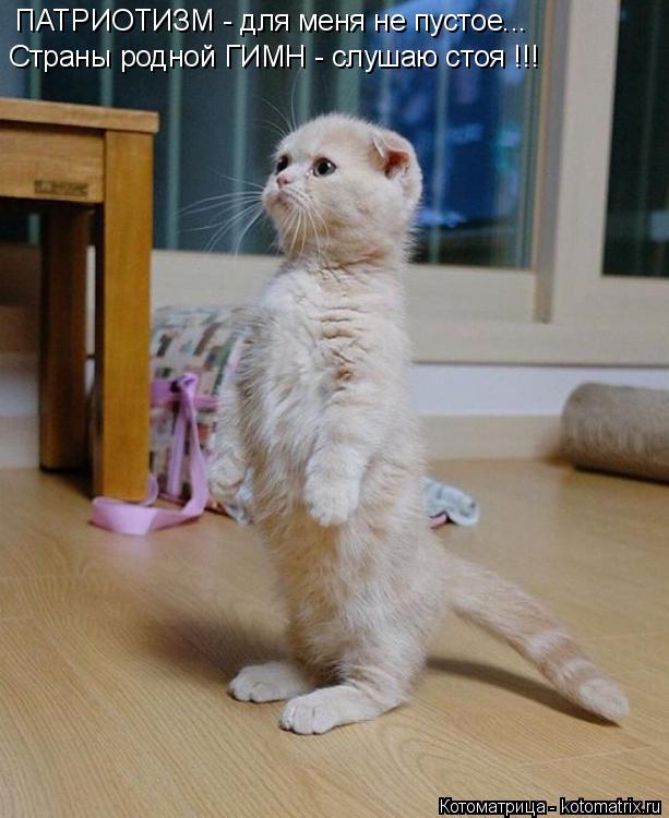 Котоматрица: ПАТРИОТИЗМ - для меня не пустое... Страны родной ГИМН - слушаю стоя !!!