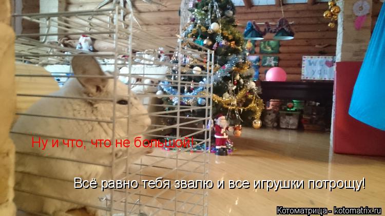 Котоматрица: Всё равно тебя звалю и все игрушки потрощу! Ну и что, что не большой!