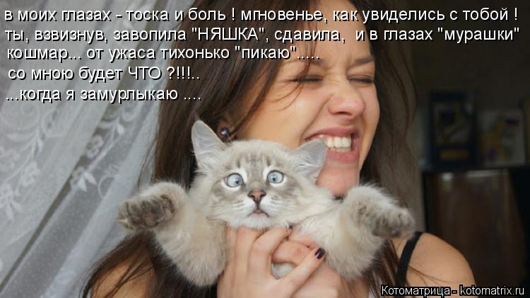 Котоматрица: ты, взвизнув, завопила "НЯШКА", сдавила,  и в глазах "мурашки" кошмар... от ужаса тихонько "пикаю"..... со мною будет ЧТО ?!!!.. ...когда я замурлыкаю ...