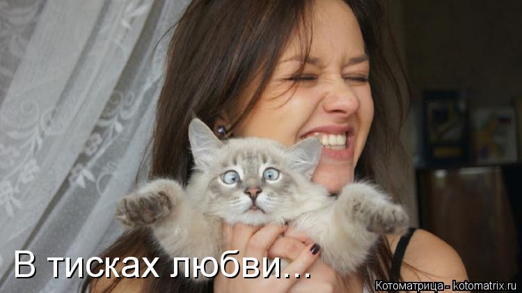 В тисках любви...... Котоматрица: В тисках любви...