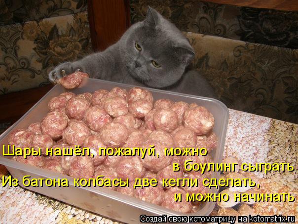 Шары нашёл, пожалуй, можно в боулинг сыграть Из батона колбасы две кегли сделать, и можно начинать... Котоматрица: Шары нашёл, пожалуй, можно в боулинг сыграть Из батона колбасы две кегли сделать, и можно начинать