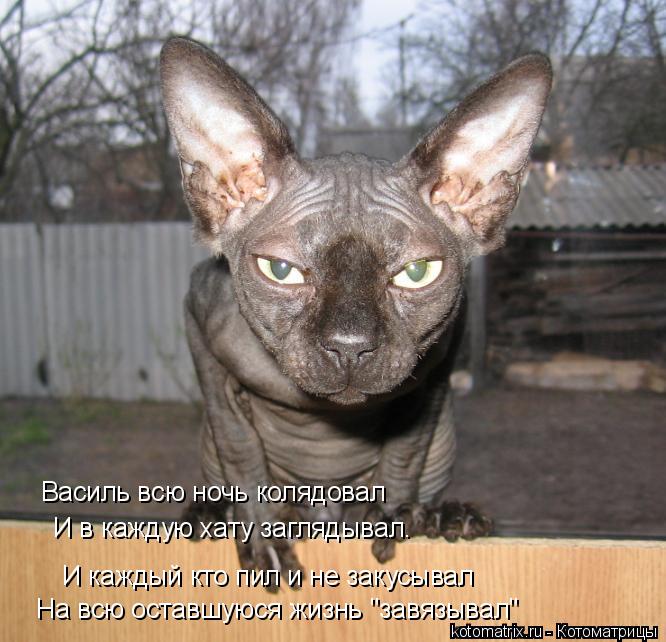 Василь всю ночь колядовал И в каждую хату заглядывал. И каждый кто пил и не закусывал На всю оставшую... Котоматрица: Василь всю ночь колядовал И в каждую хату заглядывал. И каждый кто пил и не закусывал На всю оставшуюся жизнь "завязывал"