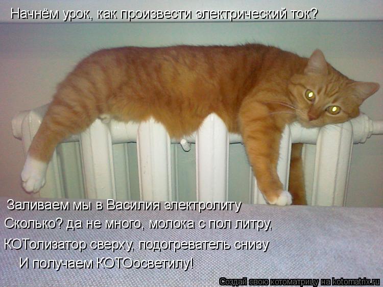 Заливаем мы в Василия электролиту Сколько? да не много, молока с пол литру, КОТолизатор сверху, подо... Котоматрица: Заливаем мы в Василия электролиту Сколько? да не много, молока с пол литру, КОТолизатор сверху, подогреватель снизу Начнём урок, как произв