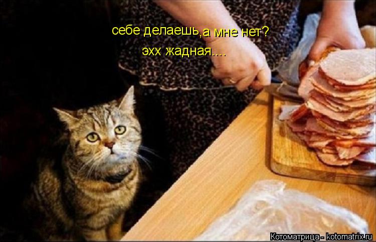 себе делаешь ,а мне нет? эхх жадная....... Котоматрица: себе делаешь ,а мне нет? эхх жадная....
