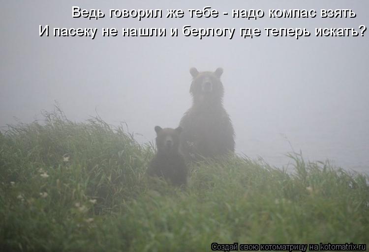 Ведь говорил же тебе - надо компас взять И пасеку не нашли и берлогу где теперь искать?... Котоматрица: Ведь говорил же тебе - надо компас взять И пасеку не нашли и берлогу где теперь искать?