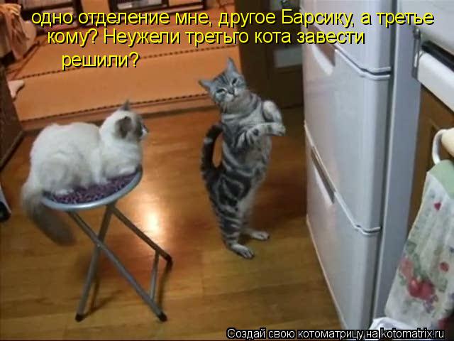 одно отделение мне, другое Барсику, а третье кому? Неужели третьго кота завести решили?... Котоматрица: одно отделение мне, другое Барсику, а третье кому? Неужели третьго кота завести решили?