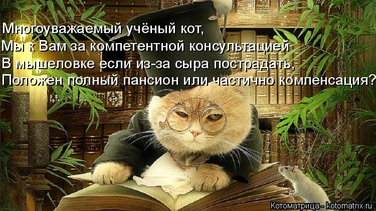 Многоуважаемый учёный кот, Мы к Вам за компетентной консультацией В мышеловке если из-за сыра пострад... Котоматрица: Многоуважаемый учёный кот, Мы к Вам за компетентной консультацией В мышеловке если из-за сыра пострадать, Положен полный пансион или части