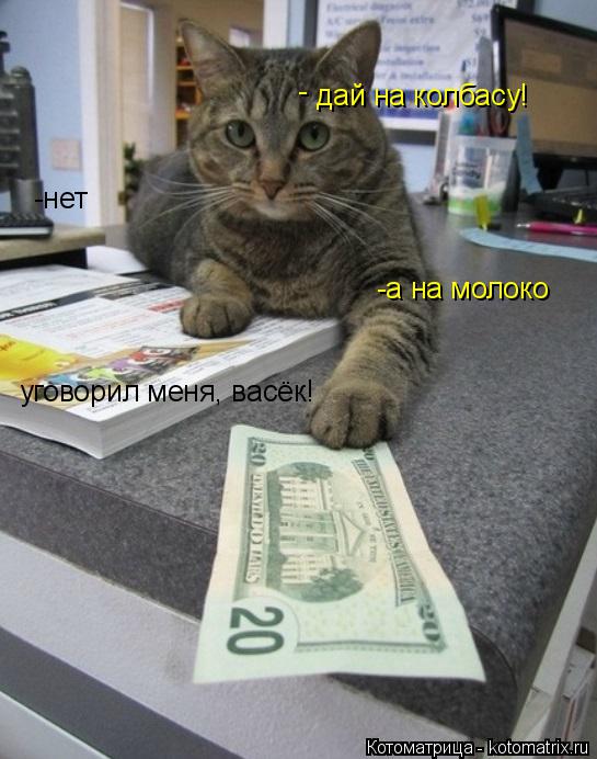 дай на колбасу! -нет - -а на молоко уговорил меня, васёк!... Котоматрица: дай на колбасу! -нет - -а на молоко уговорил меня, васёк!