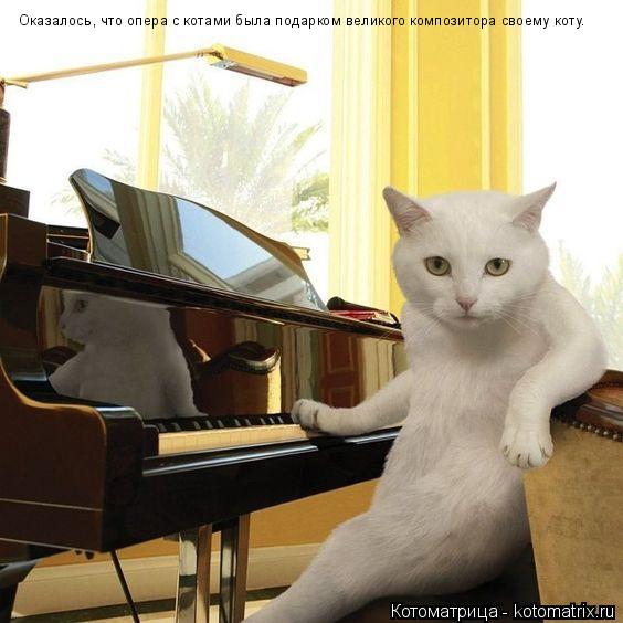 Оказалось, что опера с котами была подарком великого композитора своему коту.... Котоматрица: Оказалось, что опера с котами была подарком великого композитора своему коту.