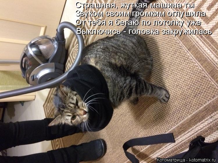 Страшная, жуткая машина ты Звуком своим громким оглушила От тебя я бегаю по потолку уже Выключись - г... Котоматрица: Страшная, жуткая машина ты Звуком своим громким оглушила От тебя я бегаю по потолку уже Выключись - головка закружилась