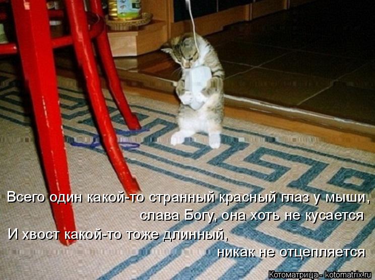 Всего один какой-то странный красный глаз у мыши, И хвост какой-то тоже длинный, слава Богу, она хоть... Котоматрица: Всего один какой-то странный красный глаз у мыши, И хвост какой-то тоже длинный, слава Богу, она хоть не кусается никак не отцепляется