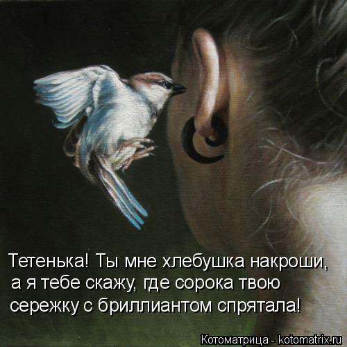 Тетенька! Ты мне хлебушка накроши, а я тебе скажу, где сорока твою сережку с бриллиантом спрятала!... Котоматрица: Тетенька! Ты мне хлебушка накроши, а я тебе скажу, где сорока твою сережку с бриллиантом спрятала!