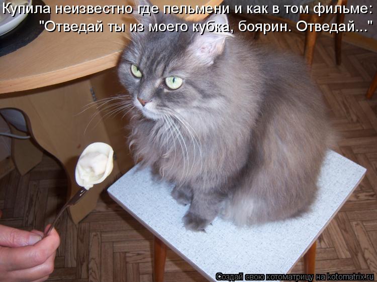 Купила неизвестно где пельмени и как в том фильме: "Отведай ты из моего кубка, боярин. Отведай..."... Котоматрица: Купила неизвестно где пельмени и как в том фильме: "Отведай ты из моего кубка, боярин. Отведай..."