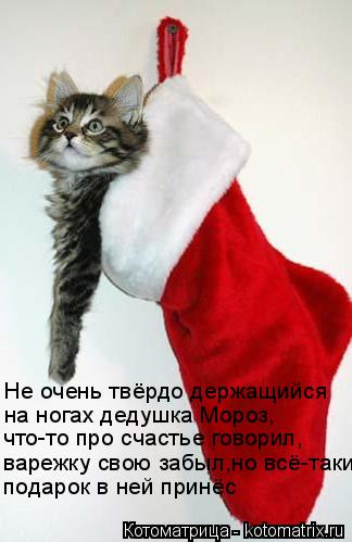 Не очень твёрдо держащийся на ногах дедушка Мороз, варежку свою забыл,но всё-таки подарок в ней принё... Котоматрица: Не очень твёрдо держащийся на ногах дедушка Мороз, варежку свою забыл,но всё-таки подарок в ней принёс что-то про счастье говорил,