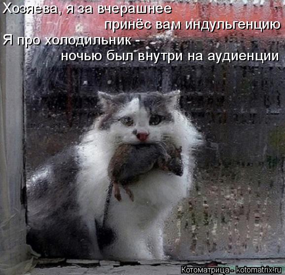 Хозяева, я за вчерашнее принёс вам индульгенцию Я про холодильник - ночью был внутри на аудиенции... Котоматрица: Хозяева, я за вчерашнее принёс вам индульгенцию Я про холодильник - ночью был внутри на аудиенции