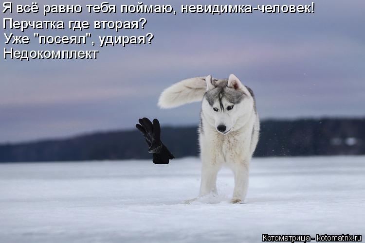 Я всё равно тебя поймаю, невидимка-человек! Перчатка где вторая? Уже "посеял", удирая? Недокомплект... Котоматрица: Я всё равно тебя поймаю, невидимка-человек! Перчатка где вторая? Уже "посеял", удирая? Недокомплект