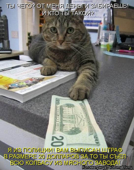 ТЫ ЧЕГО? ОТ МЕНЯ ДЕНЬГИ ЗАБИРАЕШЬ! И КТО ТЫ ТАКОЙ? Я ИЗ ПОЛИЦИИ! ВАМ ВЫПИСАН ШТРАФ В РАЗМЕРЕ 20 ДОЛЛА... Котоматрица: ТЫ ЧЕГО? ОТ МЕНЯ ДЕНЬГИ ЗАБИРАЕШЬ! И КТО ТЫ ТАКОЙ? Я ИЗ ПОЛИЦИИ! ВАМ ВЫПИСАН ШТРАФ В РАЗМЕРЕ 20 ДОЛЛАРОВ ЗА ТО ТЫ СЪЕЛ ВСЮ КОЛБАСУ ИЗ МЯСНОГО ЗА