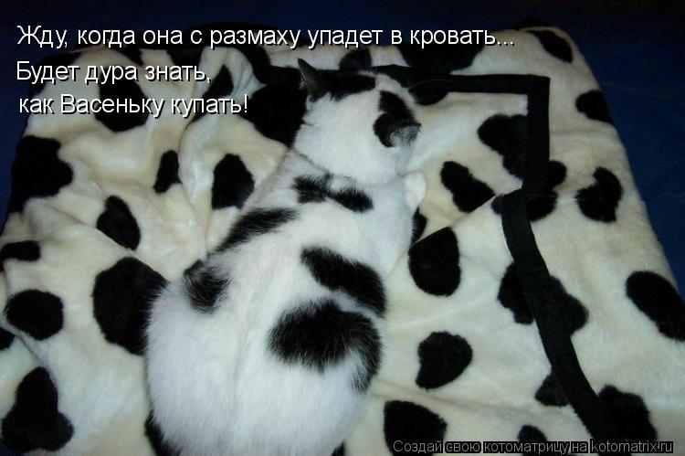 Жду, когда она с размаху упадет в кровать... Будет дура знать, как Васеньку купать!... Котоматрица: Жду, когда она с размаху упадет в кровать... Будет дура знать, как Васеньку купать!