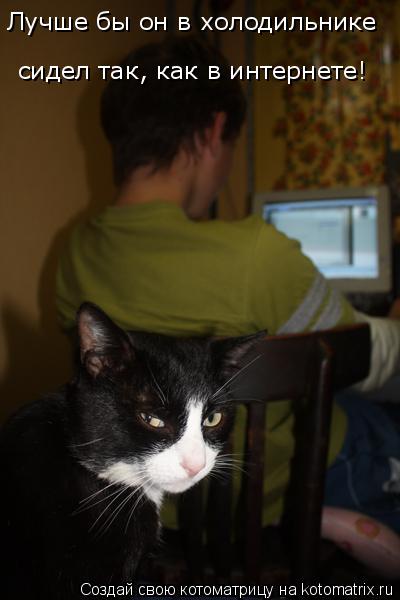Лучше бы он в холодильнике сидел так, как в интернете!... Котоматрица: Лучше бы он в холодильнике сидел так, как в интернете!