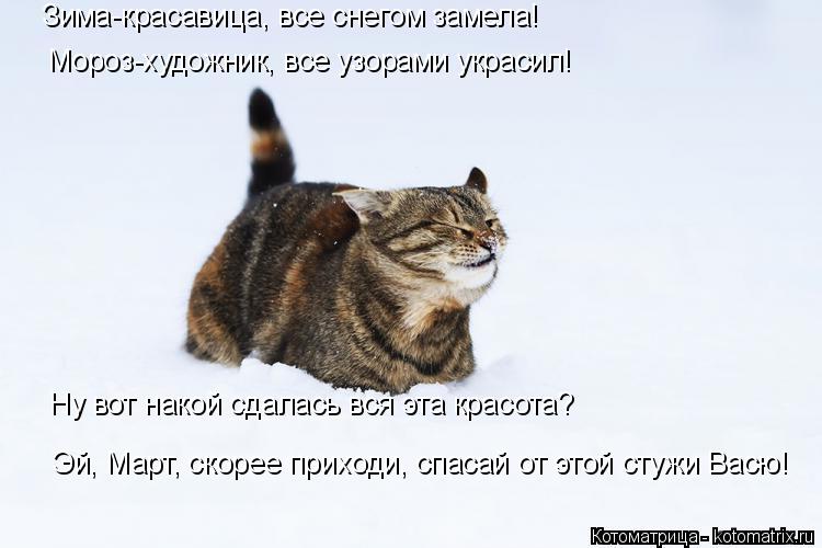 Зима-красавица, все снегом замела! Ну вот накой сдалась вся эта красота? Мороз-художник, все узорами ... Котоматрица: Зима-красавица, все снегом замела! Ну вот накой сдалась вся эта красота? Мороз-художник, все узорами украсил! Эй, Март, скорее приходи, спасай