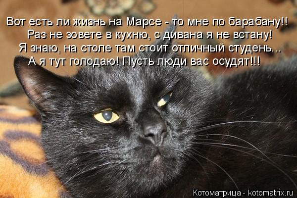 Вот есть ли жизнь на Марсе - то мне по барабану!! Раз не зовете в кухню, с дивана я не встану! Я знаю... Котоматрица: Вот есть ли жизнь на Марсе - то мне по барабану!! Раз не зовете в кухню, с дивана я не встану! Я знаю, на столе там стоит отличный студень... А я т