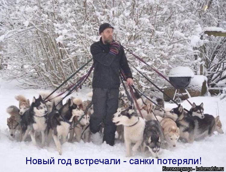 Новый год встречали - санки потеряли!... Котоматрица: Новый год встречали - санки потеряли!