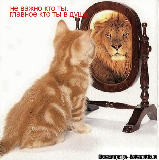 не важно кто ты. главное кто ты в душе.... Котоматрица: не важно кто ты. главное кто ты в душе.