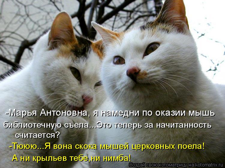 -Марья Антоновна, я намедни по оказии мышь библиотечную съела...Это теперь за начитанность считается?... Котоматрица: -Марья Антоновна, я намедни по оказии мышь библиотечную съела...Это теперь за начитанность считается? -Тююю...Я вона скока мышей церковных по