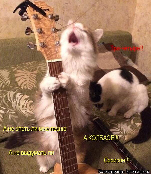 А не спеть ли мне песню А КОЛБАСЕ!!! А не выдумать ли Сосисон!!! Три-четыре!!... Котоматрица: А не спеть ли мне песню А КОЛБАСЕ!!! А не выдумать ли Сосисон!!! Три-четыре!!