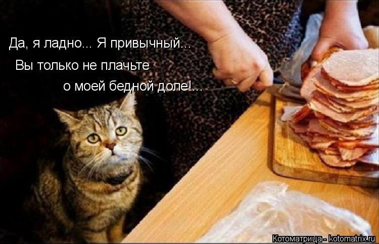 Да, я ладно... Я привычный... Вы только не плачьте о моей бедной доле!...... Котоматрица: Да, я ладно... Я привычный... Вы только не плачьте о моей бедной доле!...