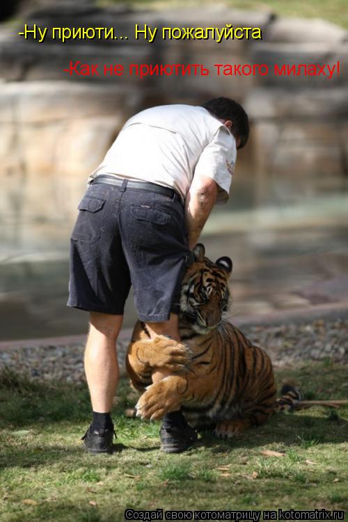 -Ну приюти... Ну пожалуйста -Как не приютить такого милаху!... Котоматрица: -Ну приюти... Ну пожалуйста -Как не приютить такого милаху!