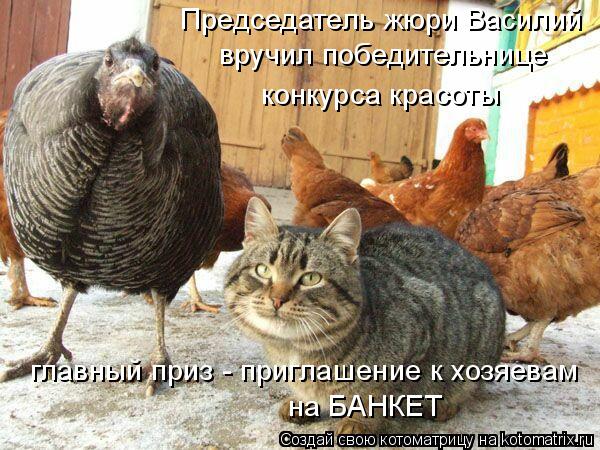 Председатель жюри Василий вручил победительнице конкурса красоты главный приз - приглашение к хозяев... Котоматрица: Председатель жюри Василий вручил победительнице конкурса красоты главный приз - приглашение к хозяевам на БАНКЕТ