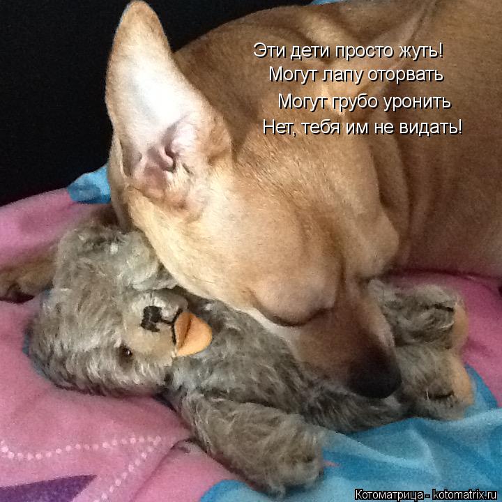 Эти дети просто жуть! Могут лапу оторвать Могут грубо уронить Нет, тебя им не видать!... Котоматрица: Эти дети просто жуть! Могут лапу оторвать Могут грубо уронить Нет, тебя им не видать!