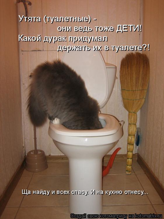Утята (туалетные) - они ведь тоже ДЕТИ! Какой дурак придумал держать их в туалете?! Ща найду и всех ... Котоматрица: Утята (туалетные) - они ведь тоже ДЕТИ! Какой дурак придумал держать их в туалете?! Ща найду и всех спасу. И на кухню отнесу...
