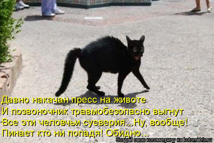 Давно накачан пресс на животе И позвоночник травмобезопасно выгнут Все эти человчьи суеверия...Ну, во... Котоматрица: Давно накачан пресс на животе И позвоночник травмобезопасно выгнут Все эти человчьи суеверия...Ну, вообще! Пинает кто ни попадя! Обидно...