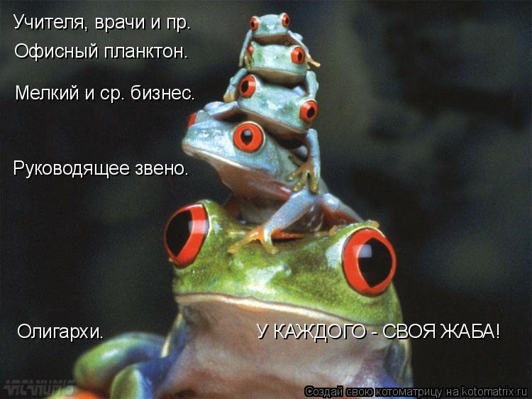 Учителя, врачи и пр. Офисный планктон. Мелкий и ср. бизнес. Руководящее звено. Олигархи. ... Котоматрица: Учителя, врачи и пр. Офисный планктон. Мелкий и ср. бизнес. Руководящее звено. Олигархи. У КАЖДОГО - СВОЯ ЖАБА!