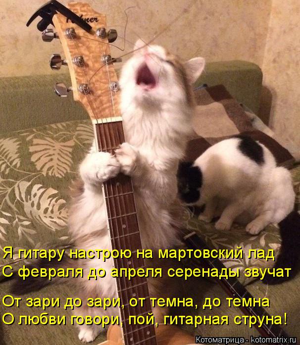 Я гитару настрою на мартовский лад С февраля до апреля серенады звучат От зари до зари, от темна, до ... Котоматрица: Я гитару настрою на мартовский лад С февраля до апреля серенады звучат От зари до зари, от темна, до темна О любви говори, пой, гитарная струн