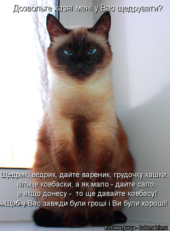 Дозвольте хазяї мені у Вас щедрувати? Щедрик, ведрик, дайте вареник, грудочку кашки, кільце ковбаски,... Котоматрица: Дозвольте хазяї мені у Вас щедрувати? Щедрик, ведрик, дайте вареник, грудочку кашки, кільце ковбаски, а як мало - дайте сало, Щоб у Вас завжди