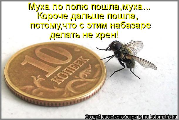 Котоматрица: Муха по полю пошла,муха... Короче дальше пошла, потому,что с этим набазаре делать не хрен!