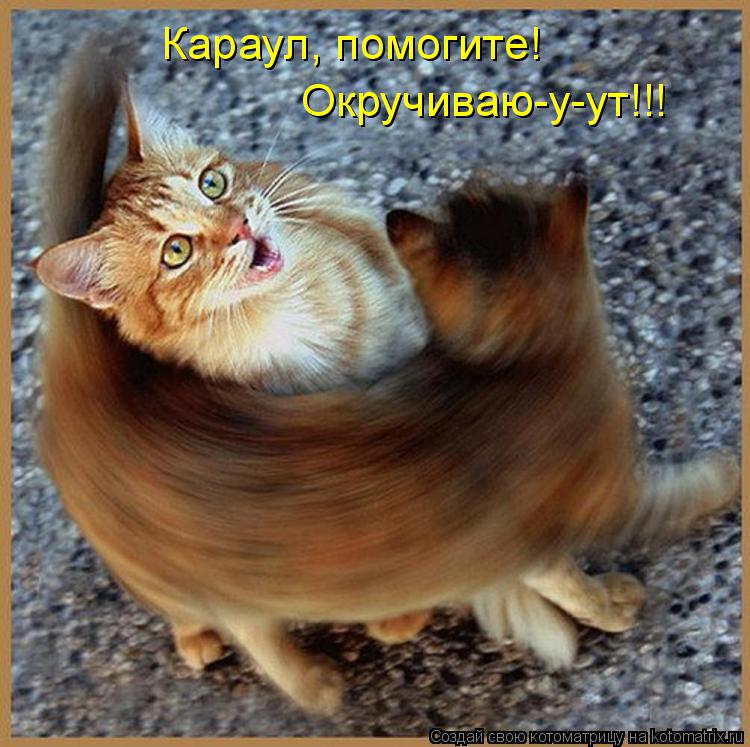 Караул, помогите! Окручиваю-у-ут!!!... Котоматрица: Караул, помогите! Окручиваю-у-ут!!!
