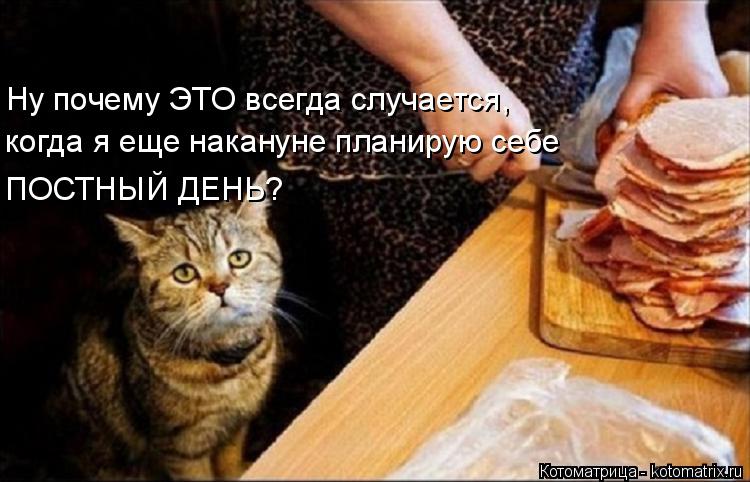 Ну почему ЭТО всегда случается, когда я еще накануне планирую себе ПОСТНЫЙ ДЕНЬ?... Котоматрица: Ну почему ЭТО всегда случается, когда я еще накануне планирую себе ПОСТНЫЙ ДЕНЬ?