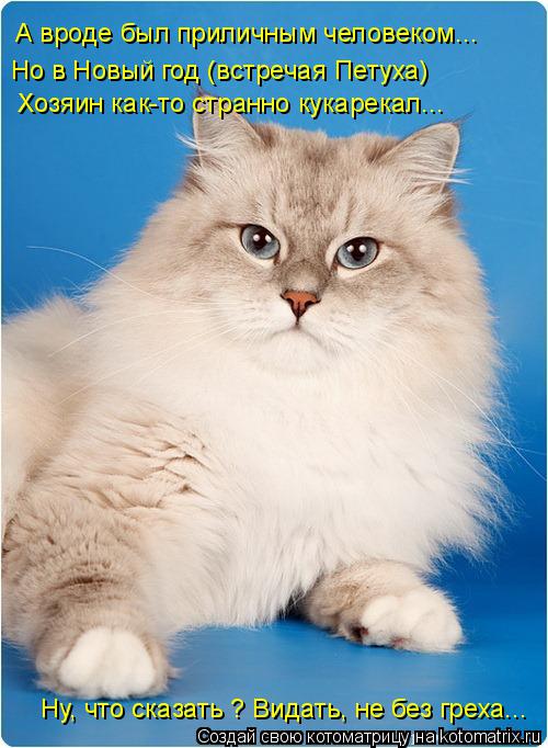 А вроде был приличным человеком... Но в Новый год (встречая Петуха) Хозяин как-то странно кукарекал..... Котоматрица: А вроде был приличным человеком... Но в Новый год (встречая Петуха) Хозяин как-то странно кукарекал... Ну, что сказать ? Видать, не без греха...