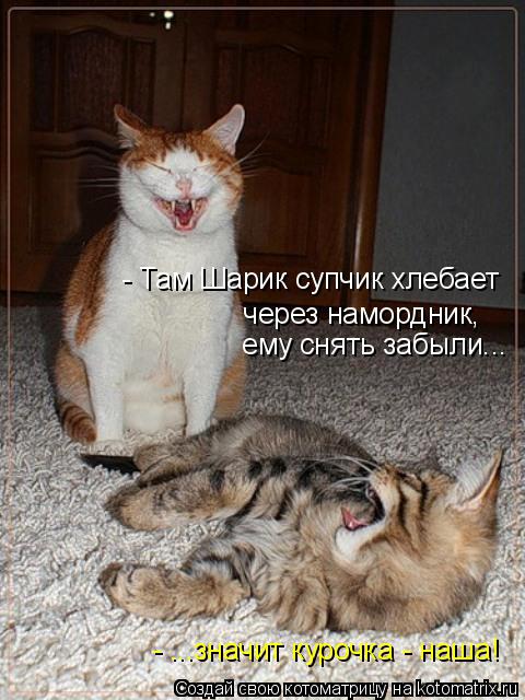 - Там Шарик супчик хлебает через намордник, ему снять забыли... - ...значит курочка - наша!... Котоматрица: - Там Шарик супчик хлебает через намордник, ему снять забыли... - ...значит курочка - наша!